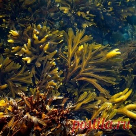 Складки на спине? Жир на животе? Есть средство, которое поможет за 7 дней!