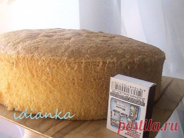 Бісквіт ванільний шифоновий | DreamFood