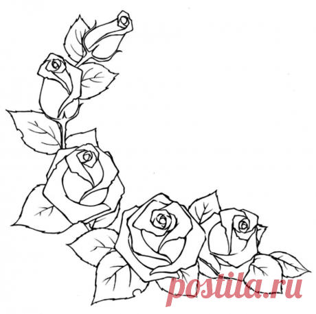 Розы - вышивка