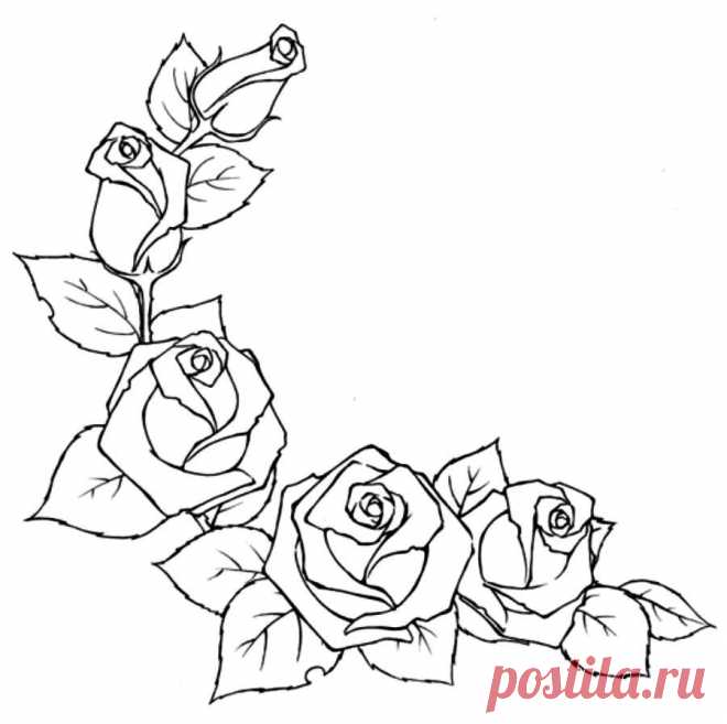 Розы - вышивка