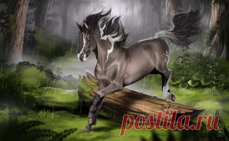 Melody of rain by AonikaArt on DeviantArt