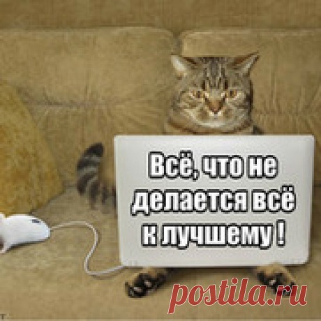 ДОЖДАЛАСЬ - АЛЫЕ ПАРУСА