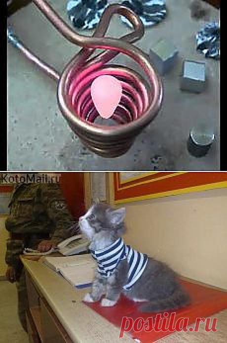 90 км. в час | «О спорт-ты жизнь», а еще... и другие материалы. Новое в Вашей подборке на Постила.ru - dmitriy3-75-99@mail.ru - Почта Mail.Ru