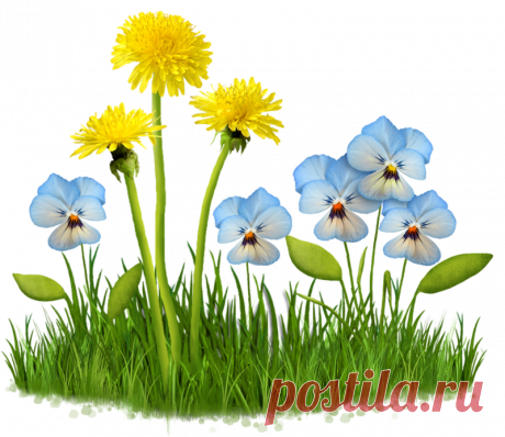 Всякие разные цветы PNG.