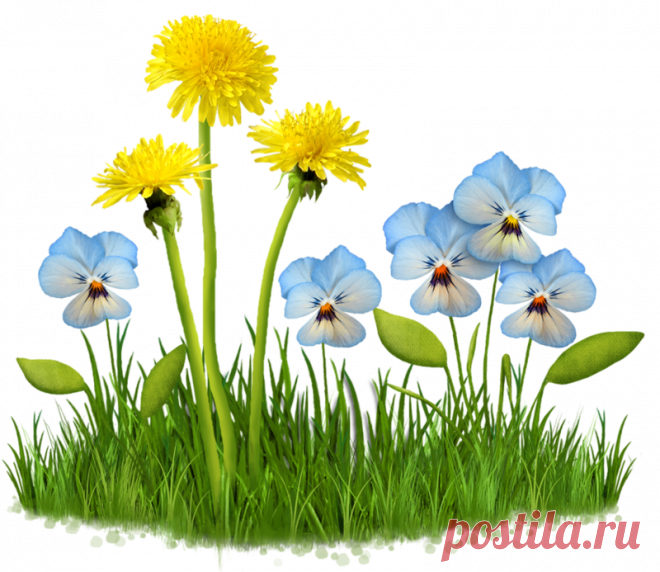 Всякие разные цветы PNG.