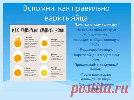 как сварить яйца всмятку: 2 тыс изображений найдено в Яндекс Картинках