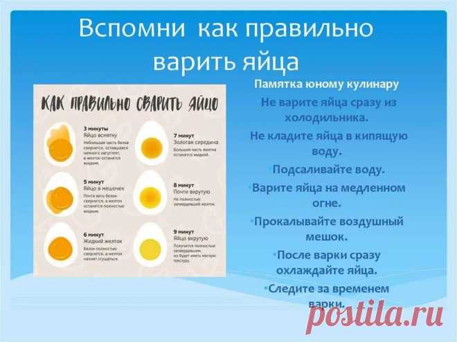 как сварить яйца всмятку: 2 тыс изображений найдено в Яндекс Картинках