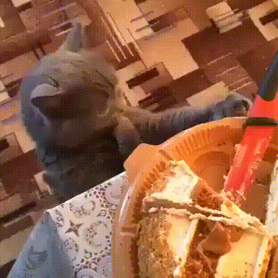 А то всё сметана и сметана... 
Надоела мне сметана!