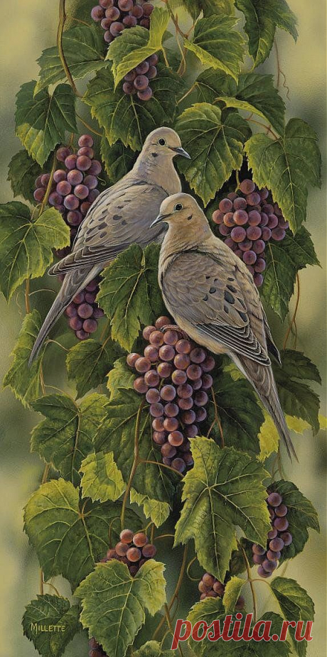 &quot;Vineyard-Mourning Doves&quot; - Rosemary Millette
Linda Bell приколол(а) это к доске Art by Rosemary Millette | Pintere…