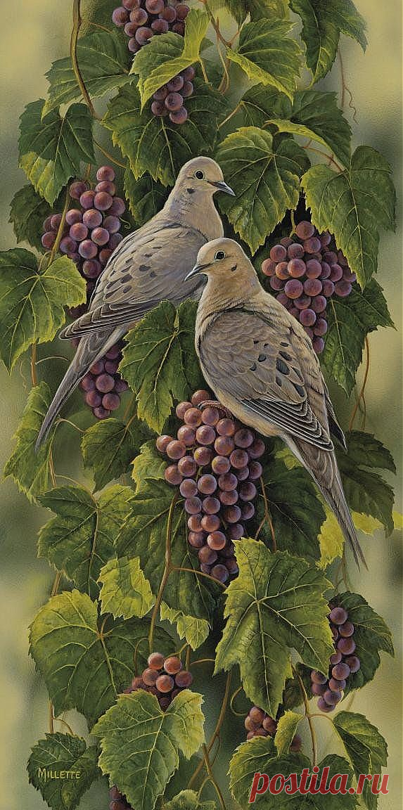 "Vineyard-Mourning Doves" - Rosemary Millette
Linda Bell приколол(а) это к доске Art by Rosemary Millette | Pintere…