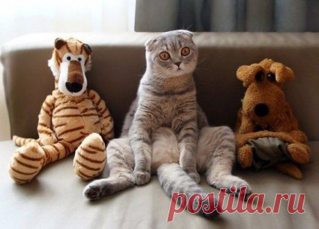 Самое интересное