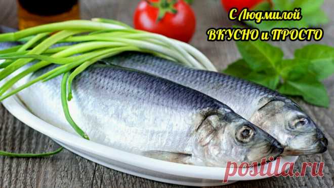Даже если вы купили невкусную солёную селёдку, из неё можно сделать изумительно вкусные закуски | Людмила Плеханова Готовим вместе. Еда | Дзен