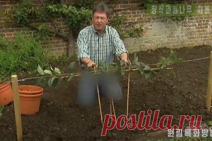 В передаче о садоводстве заметили необычную цензуру. На телевидении в Северной Корее джинсы ведущего программы о садоводстве «Секреты сада» на «Би-би-си» Алана Титчмарша подвергли цензуре. В области штанов можно увидеть характерное размытие. Эксперт по Северной Корее отметил, что в стране действует запрет на ношение синих джинсов.