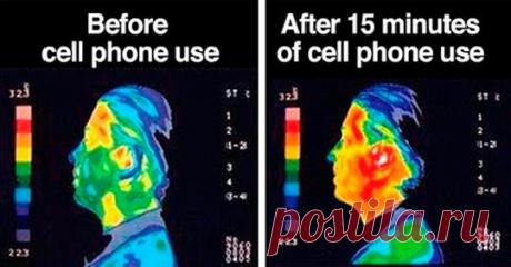 Несколько стран запретили использование Wi-Fi и сотовых телефонов в школах, вокруг маленьких детей и плодов - Журнал для женщин