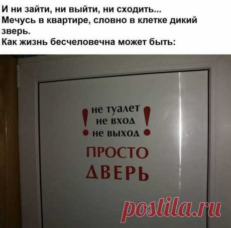 Этo жe гениaльнo — Убойный юмор