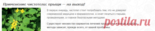 Чистотел от прыщей применяй и все средства в мусор выкидай!