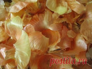 Природный лекарь, или чем полезна луковая шелуха.