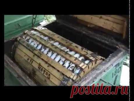 Вращающаяся круглая рамка 1ч.