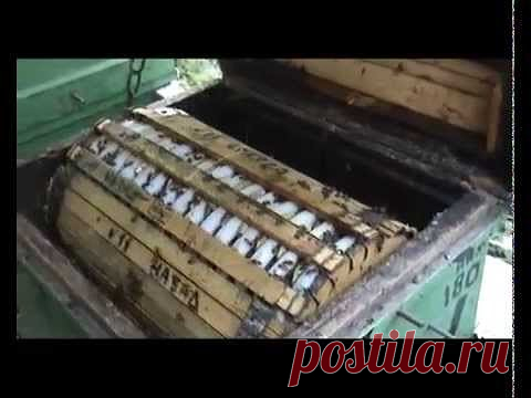 Вращающаяся круглая рамка 1ч.