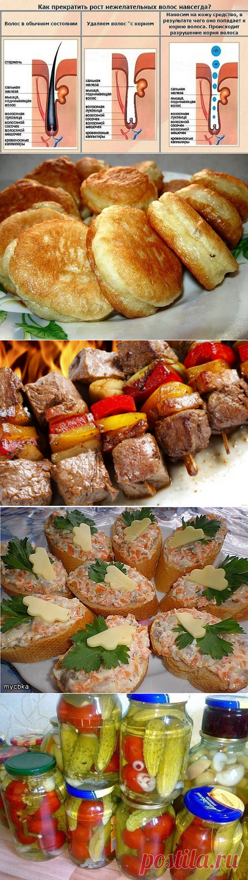 * * * * * * * * * * * *