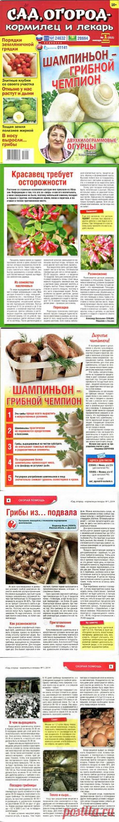 Сад, огород, кормилец и лекарь №1 2014.