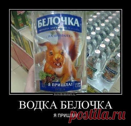 Взгляд на Одноклассниках.. Добавлена фотография в альбом Неожиданно.