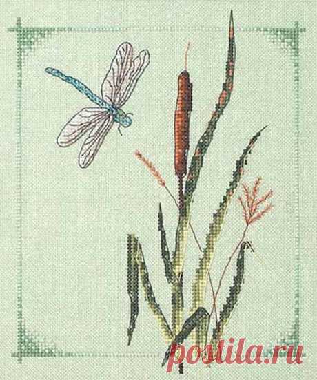 как вышить камыш на машинке: 6 тыс изображений найдено в Яндекс.Картинках