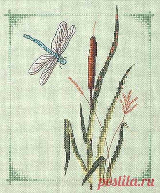 как вышить камыш на машинке: 6 тыс изображений найдено в Яндекс.Картинках