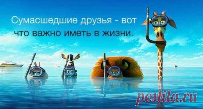 Не родственные связи создают друзей, но общность интересов. (Демокрит)