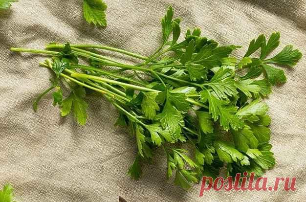 Perejil: propiedades, 8 beneficios, para qué sirve y usos