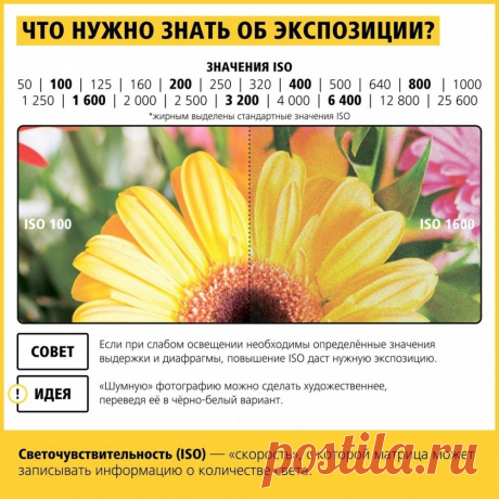 17 шпаргалок, которые помогут делать шикарные фотографии
