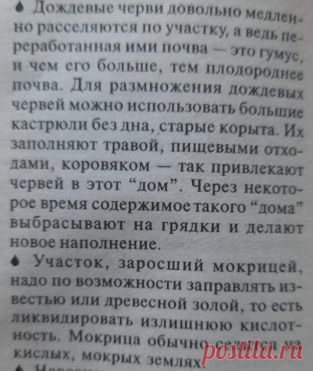 Огород.
Полезные дождевые черви.
Мокрица