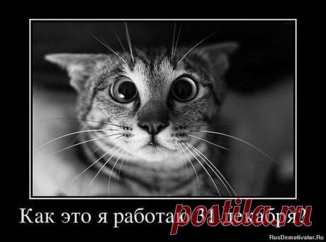 Интересные новости