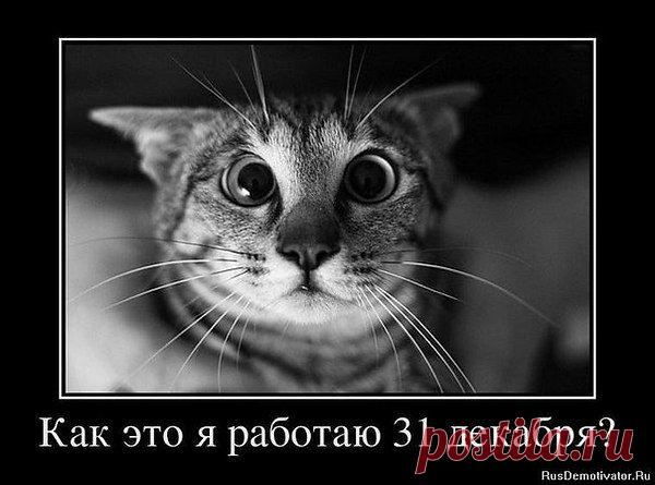 Интересные новости