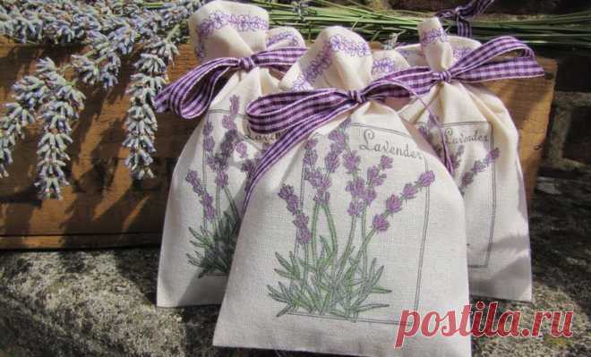 Как избавиться от моли без химикатов