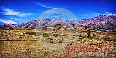 Stock Photos, Royalty-Free Images & Video Footage By Dreamstime Stock Photography
