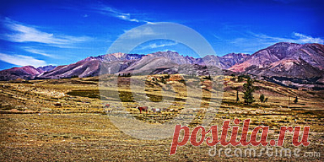 Stock Photos, Royalty-Free Images & Video Footage By Dreamstime Stock Photography