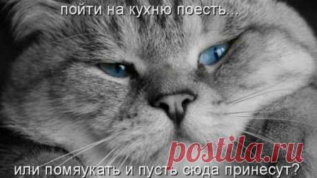 Раздумья.