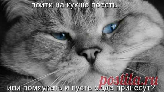 Раздумья.