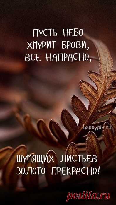 🍁 ⛅ ☕ С добрым осенним утром картинки. + 100 картинок!