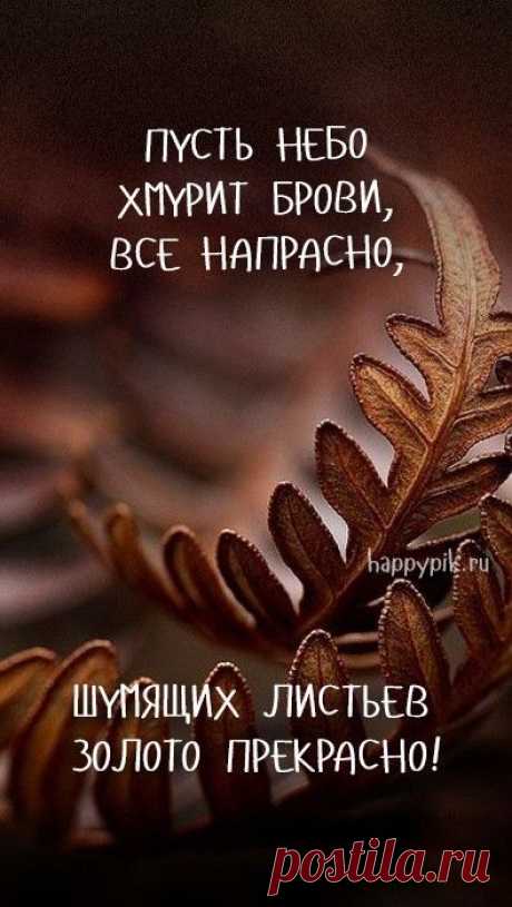 🍁 ⛅ ☕ С добрым осенним утром картинки. + 100 картинок!