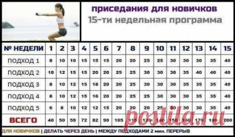 В ЧЕМ ПОЛЬЗА ПРИСЕДАНИЙ? 
1. Приседания прорабатывают самые крупные мышцы тела. В работу включаются все мышцы ног и спины.
2. Для занимающихся силовым спортом, приседания одно из главных упражнений для развития силы и массы мышц всего тела.
3. Приседания с правильной техникой укрепляют мышцы спины и формируют правильную осанку.
4. Приседания улучшают кровообращение в области таза, стимулируют и усиливают обмен веществ.
5. Укрепляя мышцы ног, вы становитесь активнее и подвижнее.