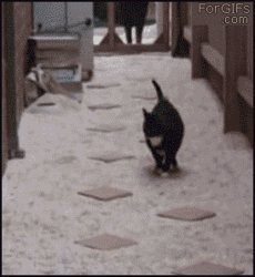 Must. Not. Touch. The... Hot... Lava. / 9gag.com / Surfingbird.ru