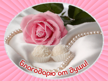 Благодарю