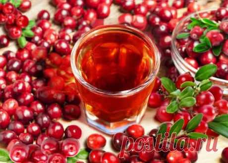 Клюквенная настойка. Лечебный эффект, польза настойки из клюквы.