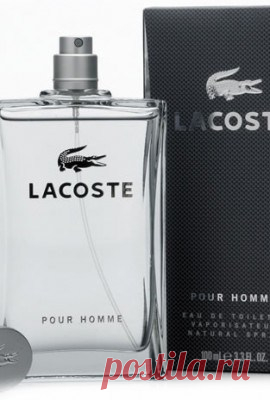 Euphoria Collection № 55 Lacoste Pour Homme Lacoste