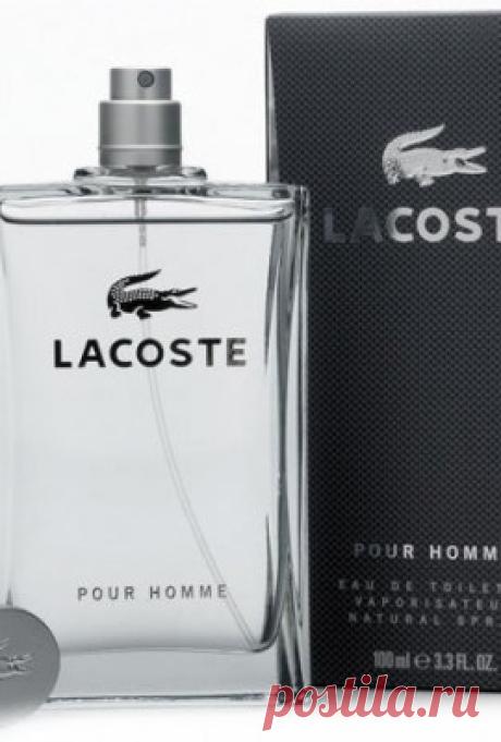 Euphoria Collection № 55 Lacoste Pour Homme Lacoste
