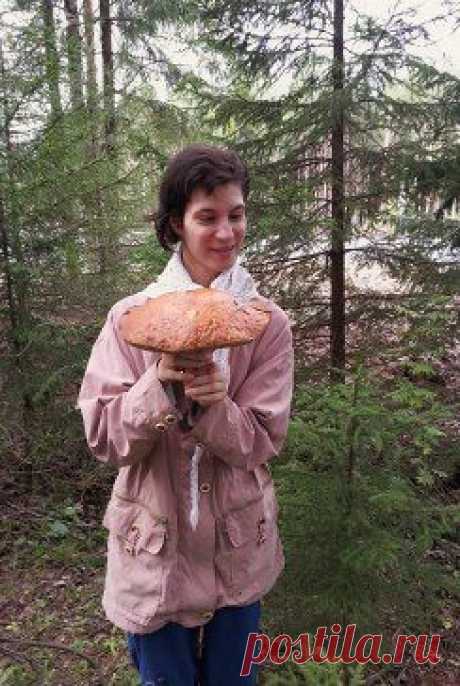 Одноклассники