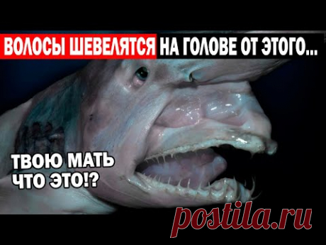 ЭТА ИСТОРИЯ НАДЕЛАЛА ОЧЕНЬ МНОГО ШУМА!!! ЖИЗНЬ НА ГЛУБИНЕ 11КМ!!!