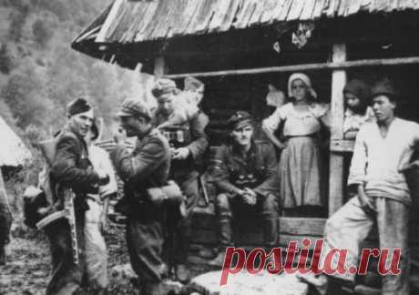 Каялись бандеровские провидныкы. Аж гай шумів - К чему стадам дары свободы...